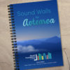Sound Wall Manual