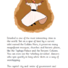 Sounds-Write Extended Code: Fact File: Countries. Non-fiction decodable books (Set of 10 titles) - Image 4