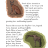 Sounds-Write Extended Code: Fact File: Countries. Non-fiction decodable books (Set of 10 titles) - Image 6
