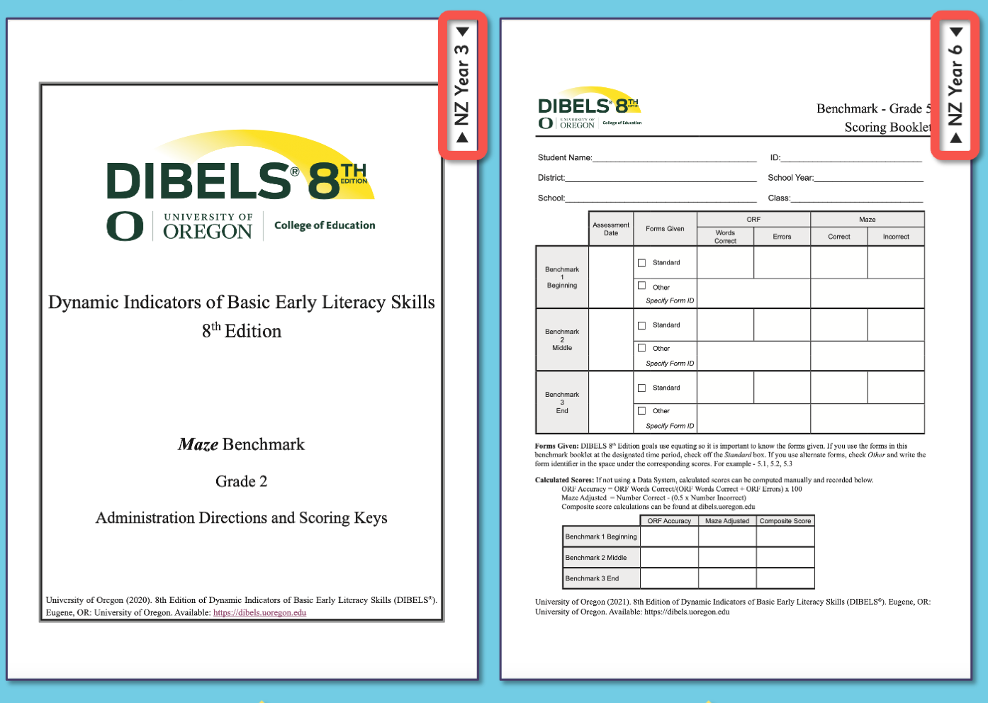 NZFriendly DIBELS 8 materials Sound Foundations for Literacy