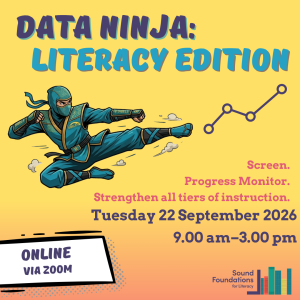 Data Ninja: Literacy Edition - Term 3